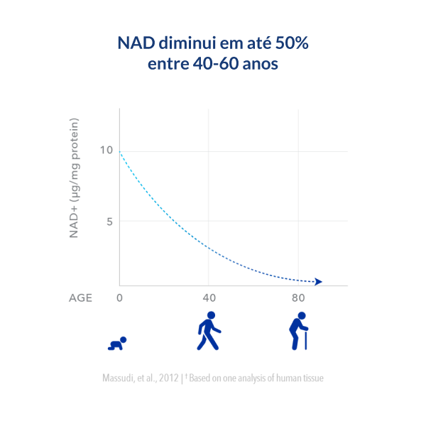 NAD diminui em até 50% entre 40-60 anos